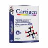 Cartigen Joint Support